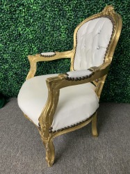 1FF674C0 A36E 4FC9 9CF5 BFA3C937FEF9 1669842748 Toddler Throne Chair