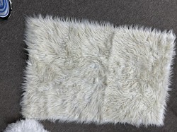 White and Gold Rug