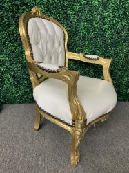 68923218 8CFA 4BA2 BA0D B8896022E8B5 1669842747 Toddler Throne Chair