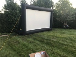 Projector Screen